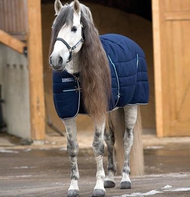 Rambo Stable Rug 200g