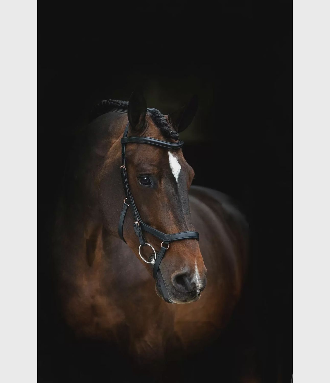 Horseware Rambo Micklem Competition Bridle, Color: Zwart, Size: Full