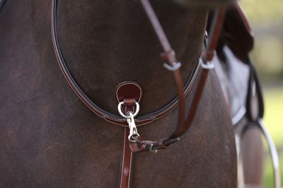 LJ Leathers Pro Selected Martingale with stainless steel buckles