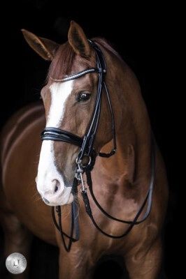 LJ Leathers Pro Selected SERRENA Bar/Bridle round