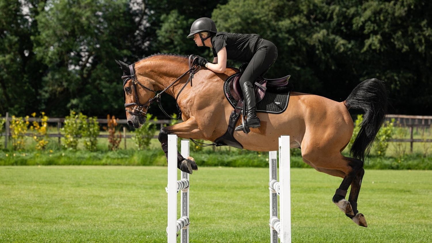 LeMieux Power Suede Saddle Pad, Color: Black, Size: Jump - Full