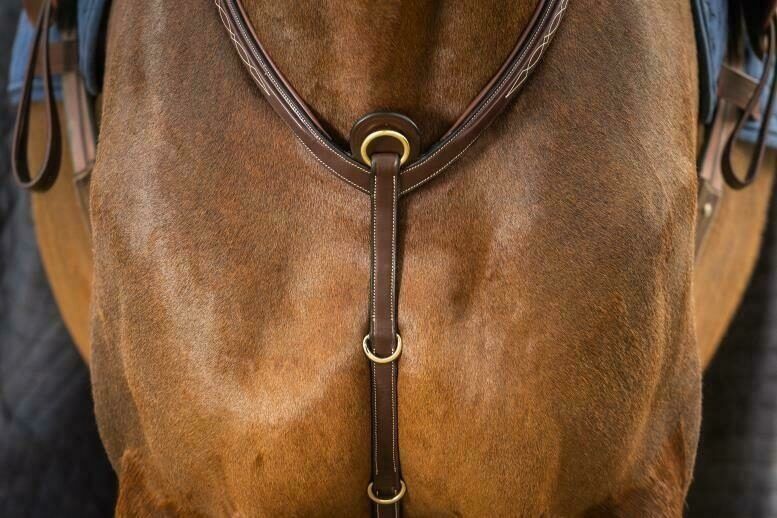 Dy&#39;on Bridge Breastplate D Collection, Color: Brown, Size: Full