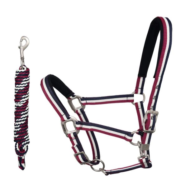 Classic Halter With Rope With/Fleece, Color: Multi Color, Size: Cob