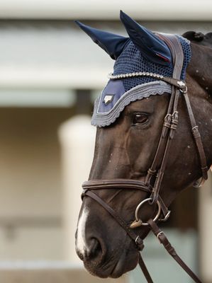 LeMieux Classic Browband Twilight, Color: Brown Leather, Size: Cob