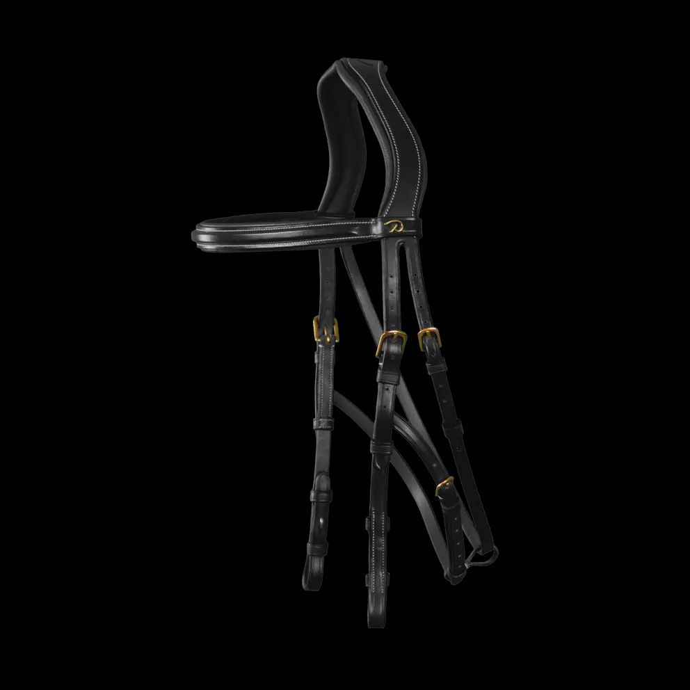 Dy&#39;on Hackamore Bridle - D Collection, Color: Black, Size: Cob