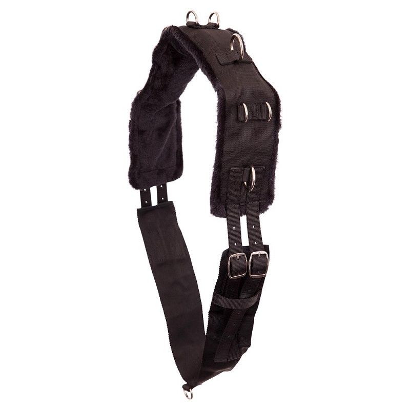 Premiere Lunging Circle, Color: Zwart, Size: Full