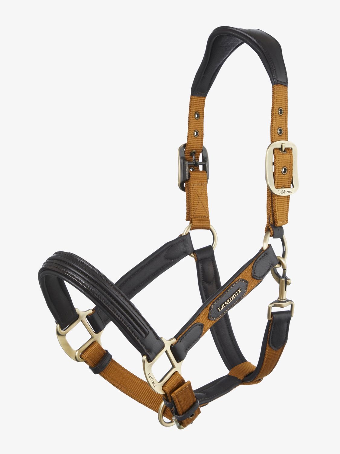 LeMieux Capella Bridle FW24, Color: Ginger, Size: Cob