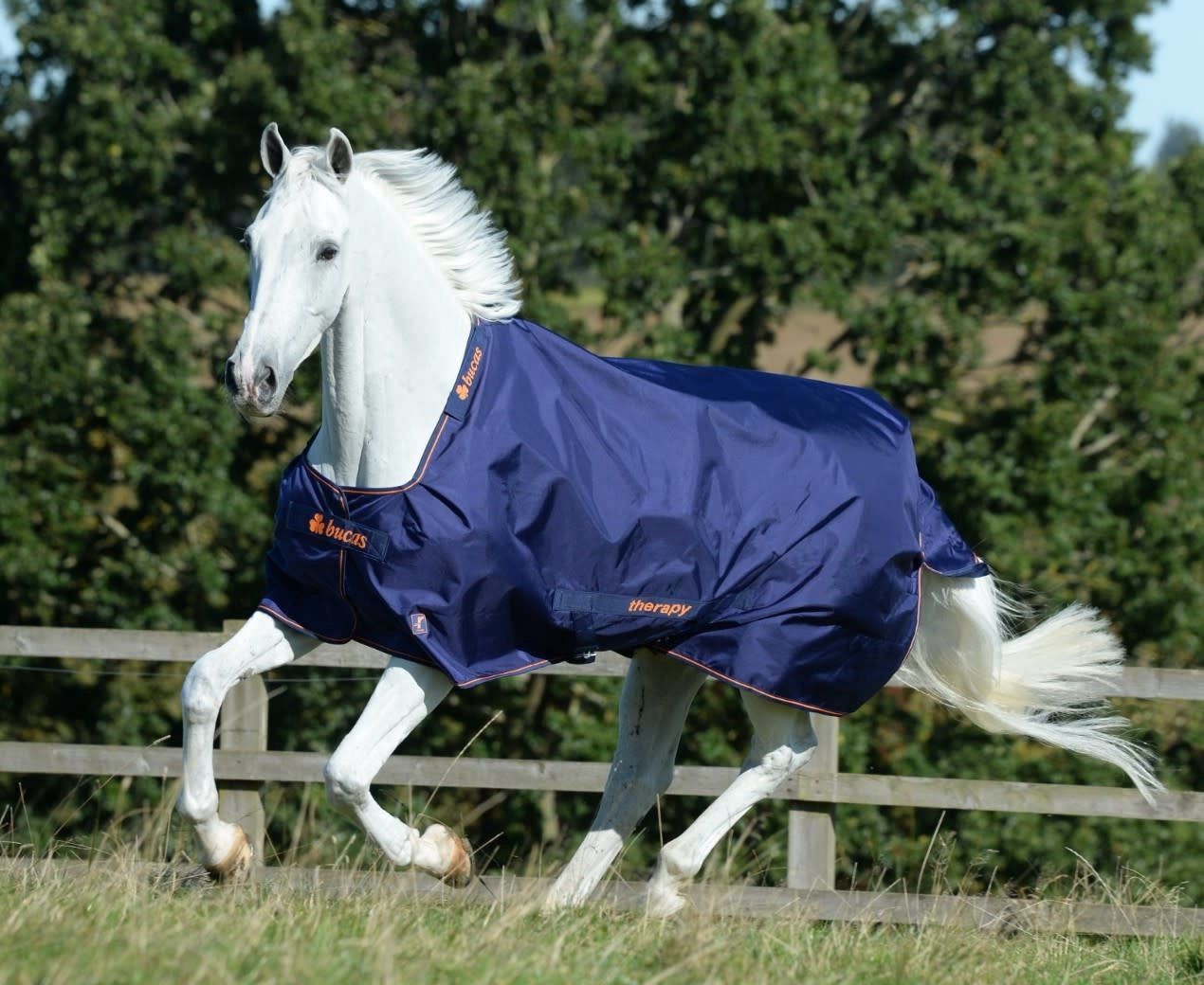 Bucas Therapy Outdoor Blanket, Dikte: Light/50g, Size: 145/195/6.6