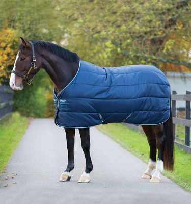 Horseware Amigo Insulator Stable Couverture Cheval Lourd 350g