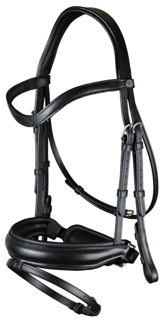 Dy&#39;on Matte Large Crank Noseband With Flash - Working