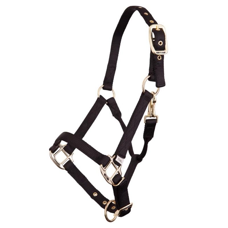 BR Halster Foal Nylon, Color: Zwart, Size: Veulen