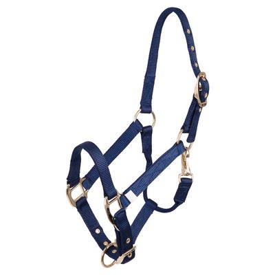 BR Halfter Fohlen Nylon