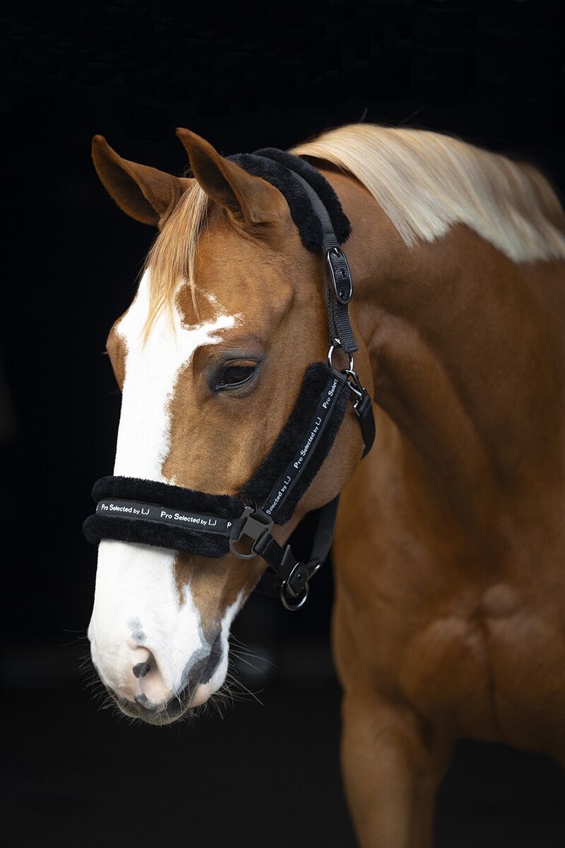 LJ Leathers Halter Nylon With Fur, Color: Black, Size: Cob