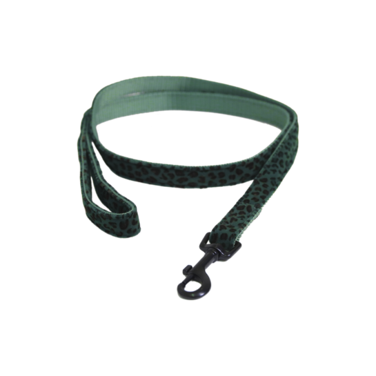 Kentucky Dog Leash Leopard, Color: Green, Size: 120cm