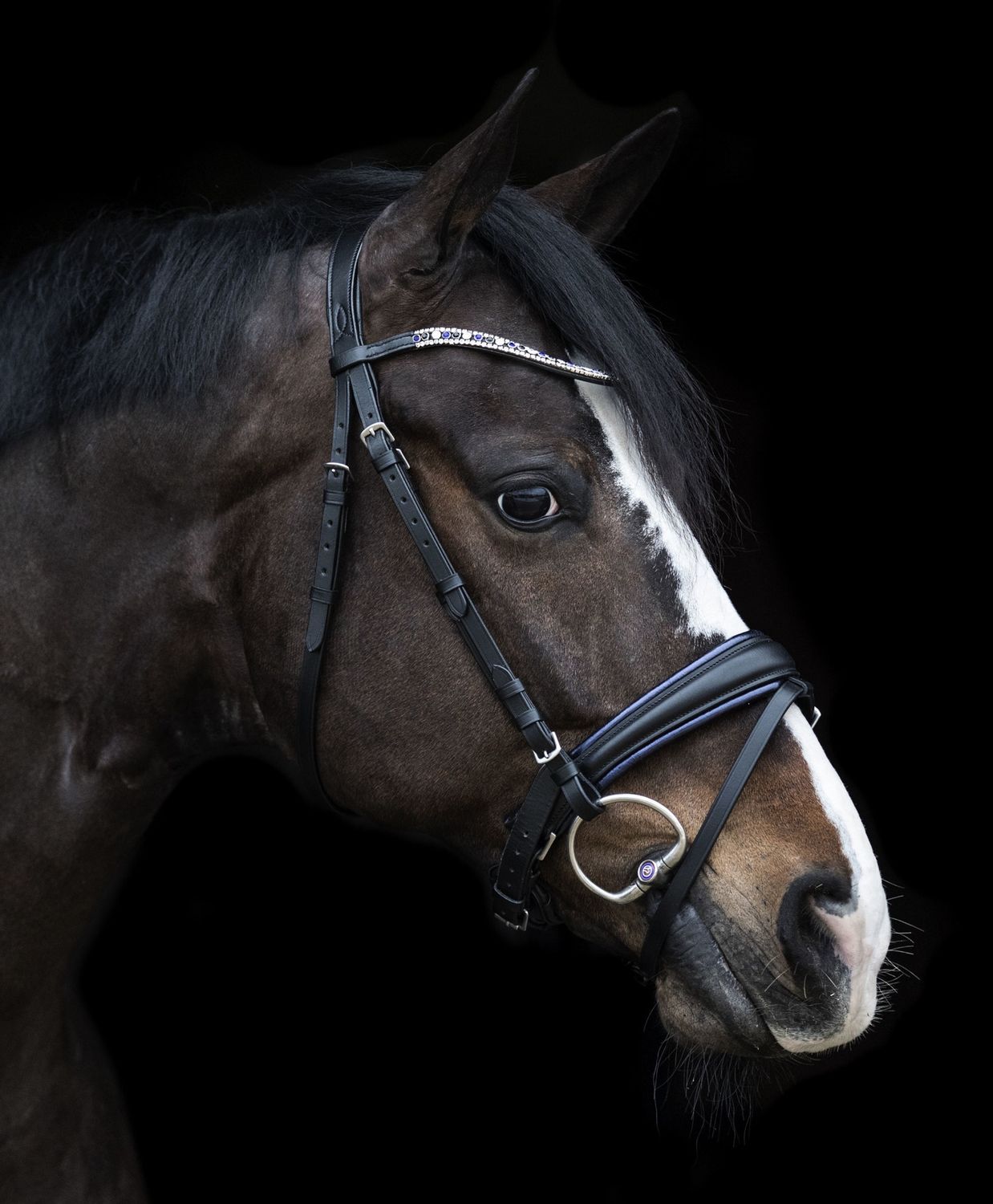 LJ Leathers Bridle &quot;Dreaming Blue&quot; Limited Edition, Size: Pony, Color: Zwart