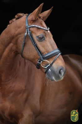 LJ Leathers Bridle Brownie Crank Noseband