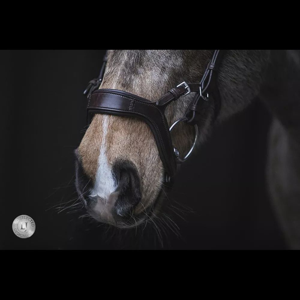 LJ Leathers Bridle JACKSON, Color: Zwart, Size: Full