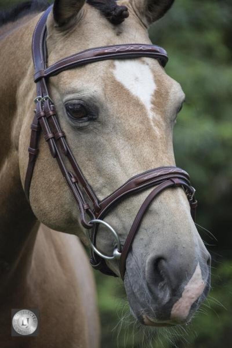 LJ Leathers Bridle Legacy Combined Noseband, Color: Australian Nut, Size: Full