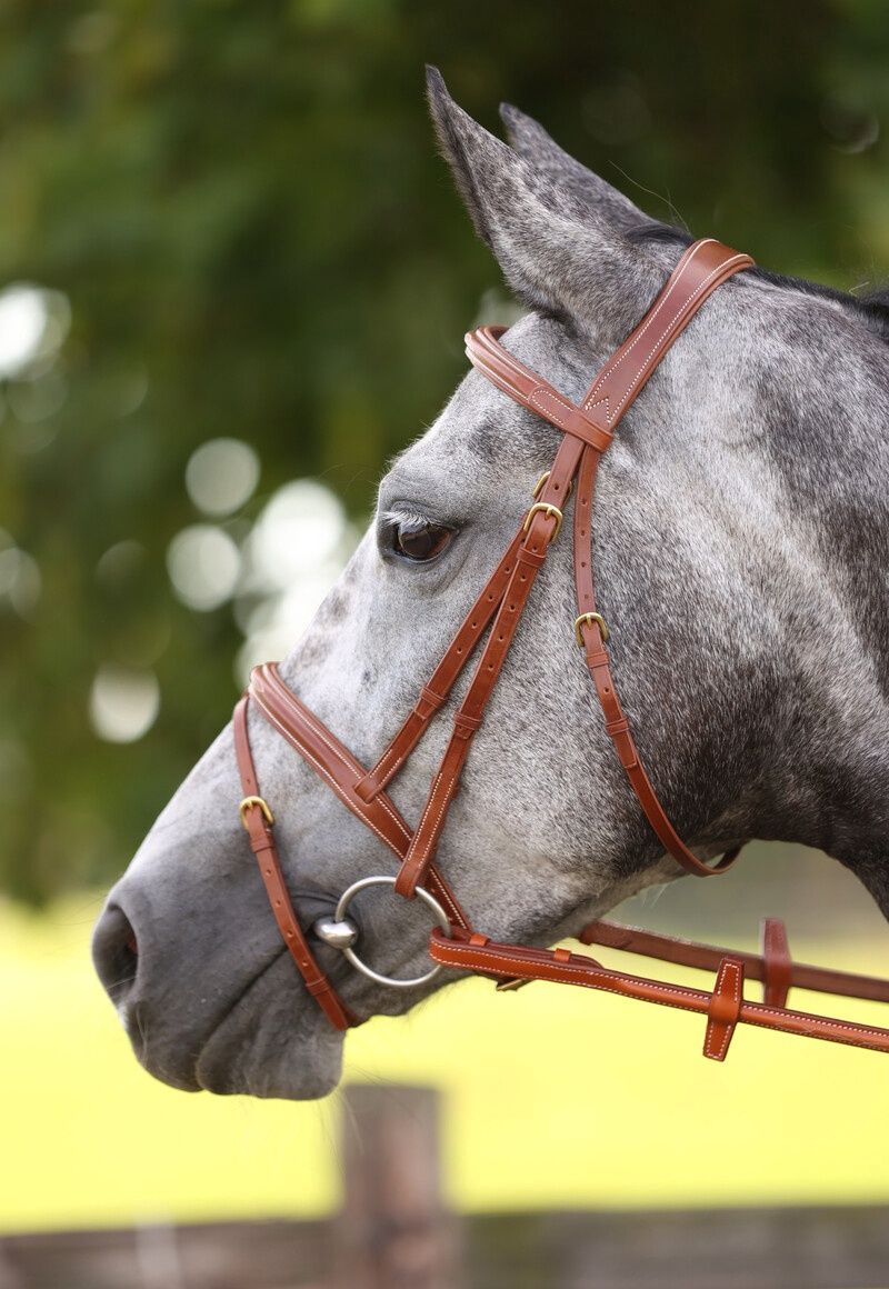LJ Leathers Bridle London Comb. Noseband, Color: Conkur, Size: Full
