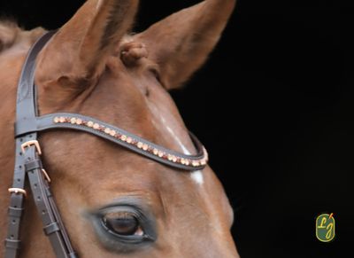 LJ Leathers Bridle Rose Crank Noseband With Lacquer Rose Gold