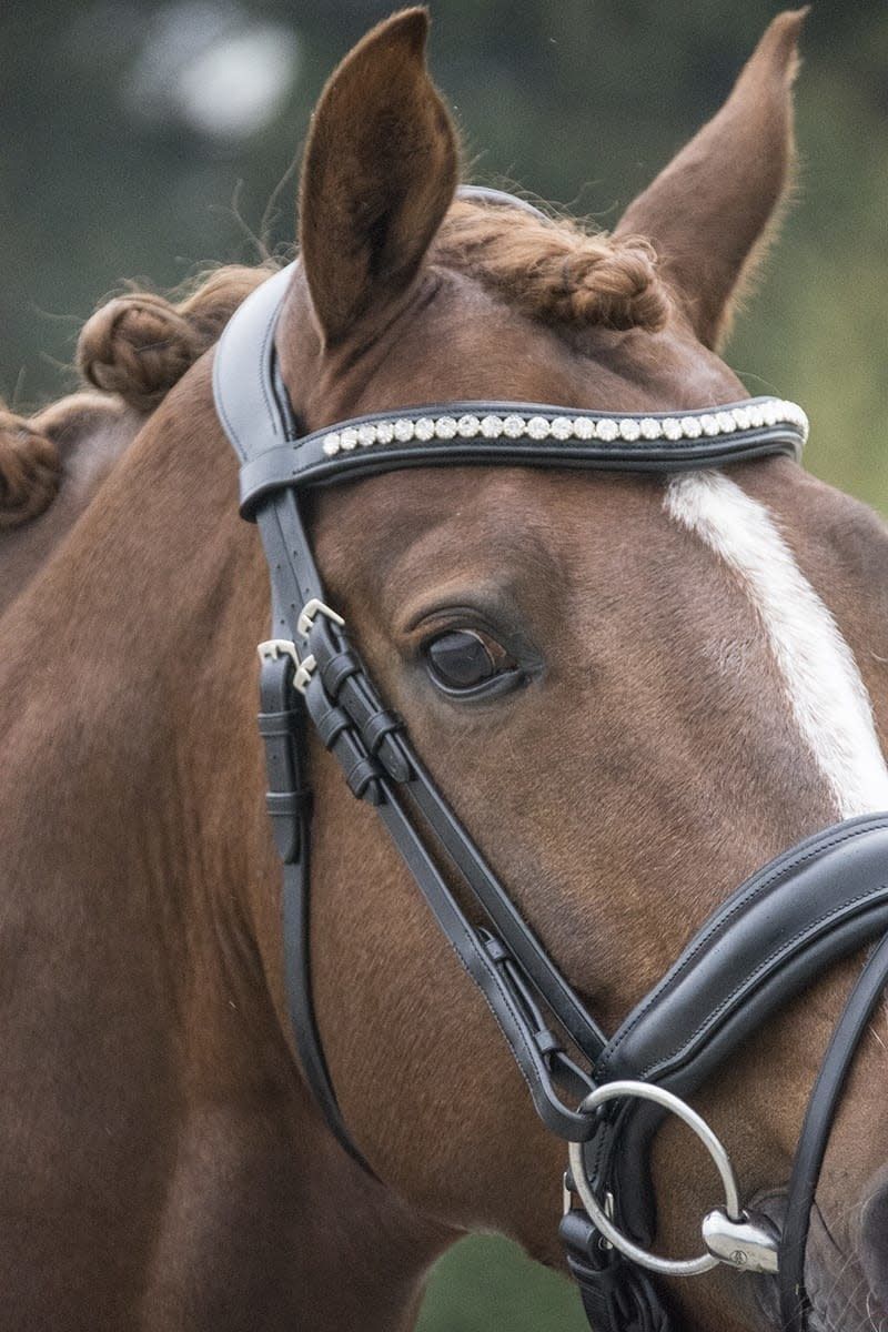 LJ Leathers Bridle Superior Crystal, Color: Zwart, Size: Full