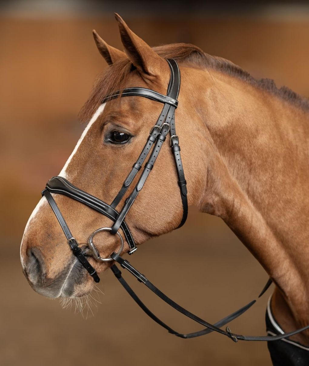 HFI Bridle Wavy, Color: Black, Size: Cob