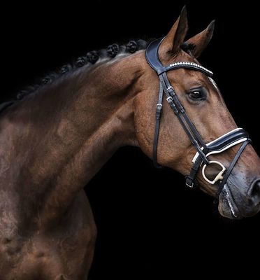 LJ Leathers Bridle Superior Crystal