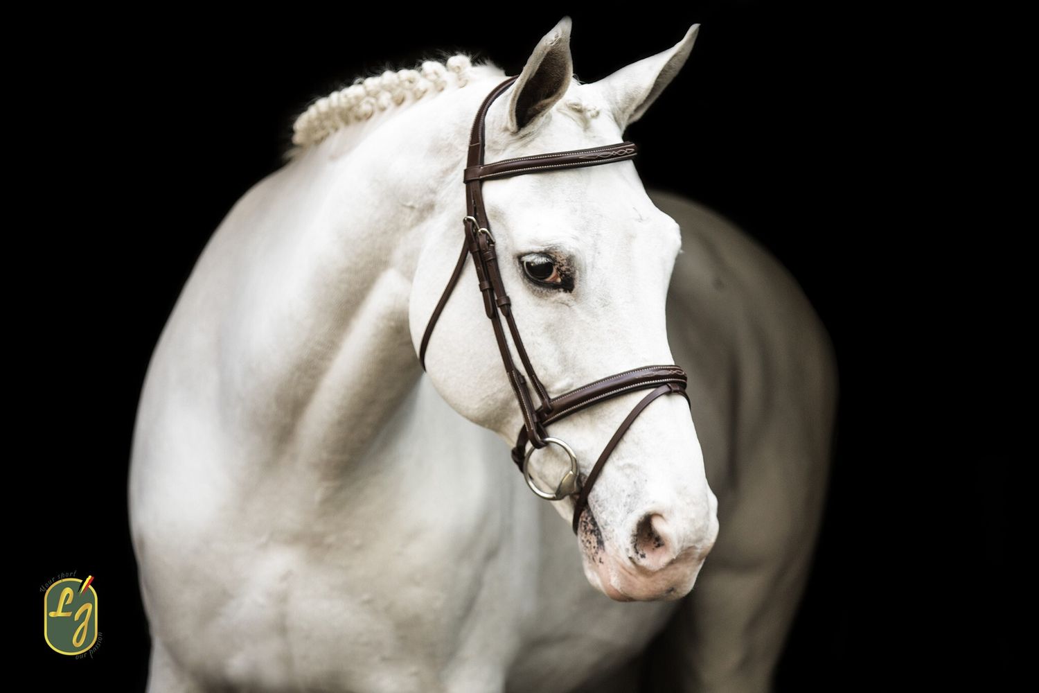 LJ Leathers Bridle ̃New Pro ̃ without reins, Color: Australian nut, Size: Pony