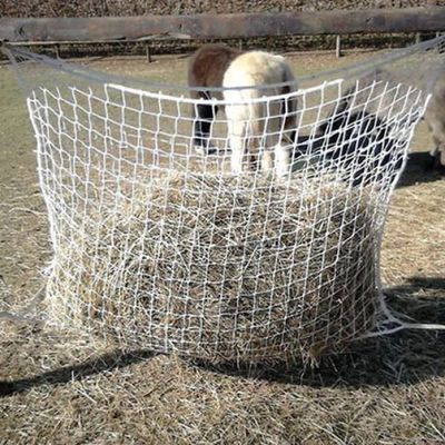 Göbel Haynet Rectangulaire