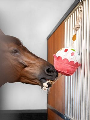 Cupcake jouet cheval