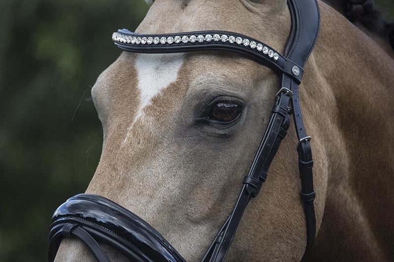 LJ Leathers Superior Patent Bridle