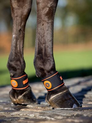 LeMieux Magno Pastern Wrap Pastern Cavern Protector Black