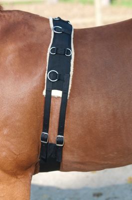 Lami-Cell Lunging girth Black Full