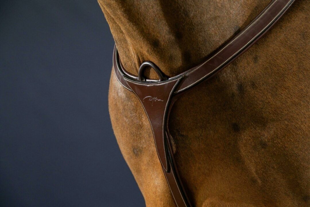 Dy&#39;on Long Bridge Breastplate - D Collection, Color: Brown, Size: Full