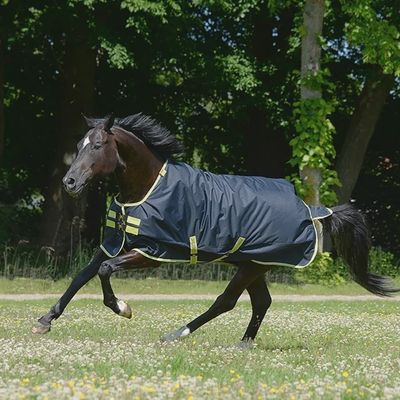 Bucas Oasis Outdoor Blanket 100 + Neck Set
