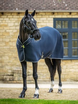 LeMieux Kudos 3D Mesh Transport Blanket