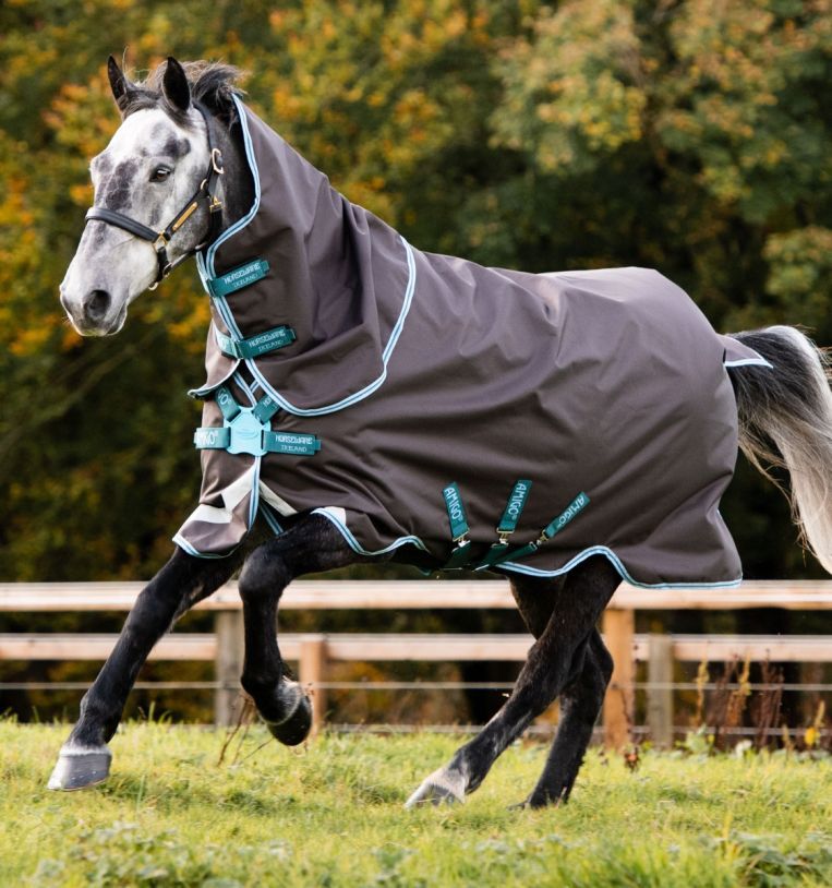 Horseware Amigo Bravo 12 Plus (Disc Front) Turnout 250g