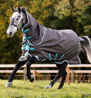 Horseware Amigo Bravo 12 Plus (Disc Front) Turnout 250g