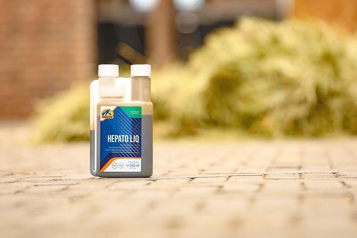 Cavalor Hepato Liq, Size: 250ml