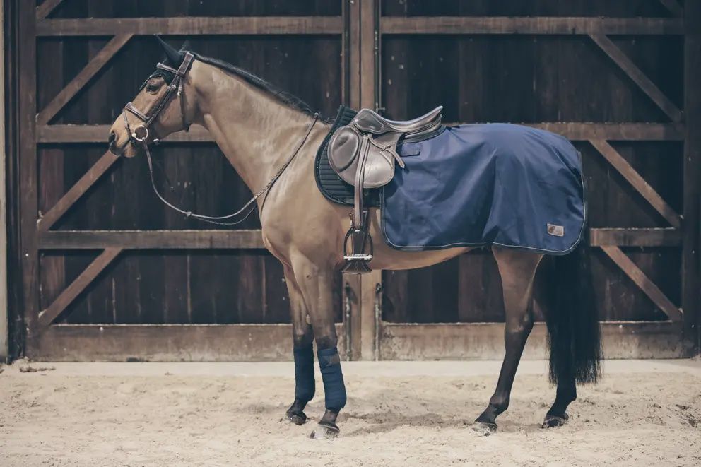 Kentucky Quarter Rug All Weather