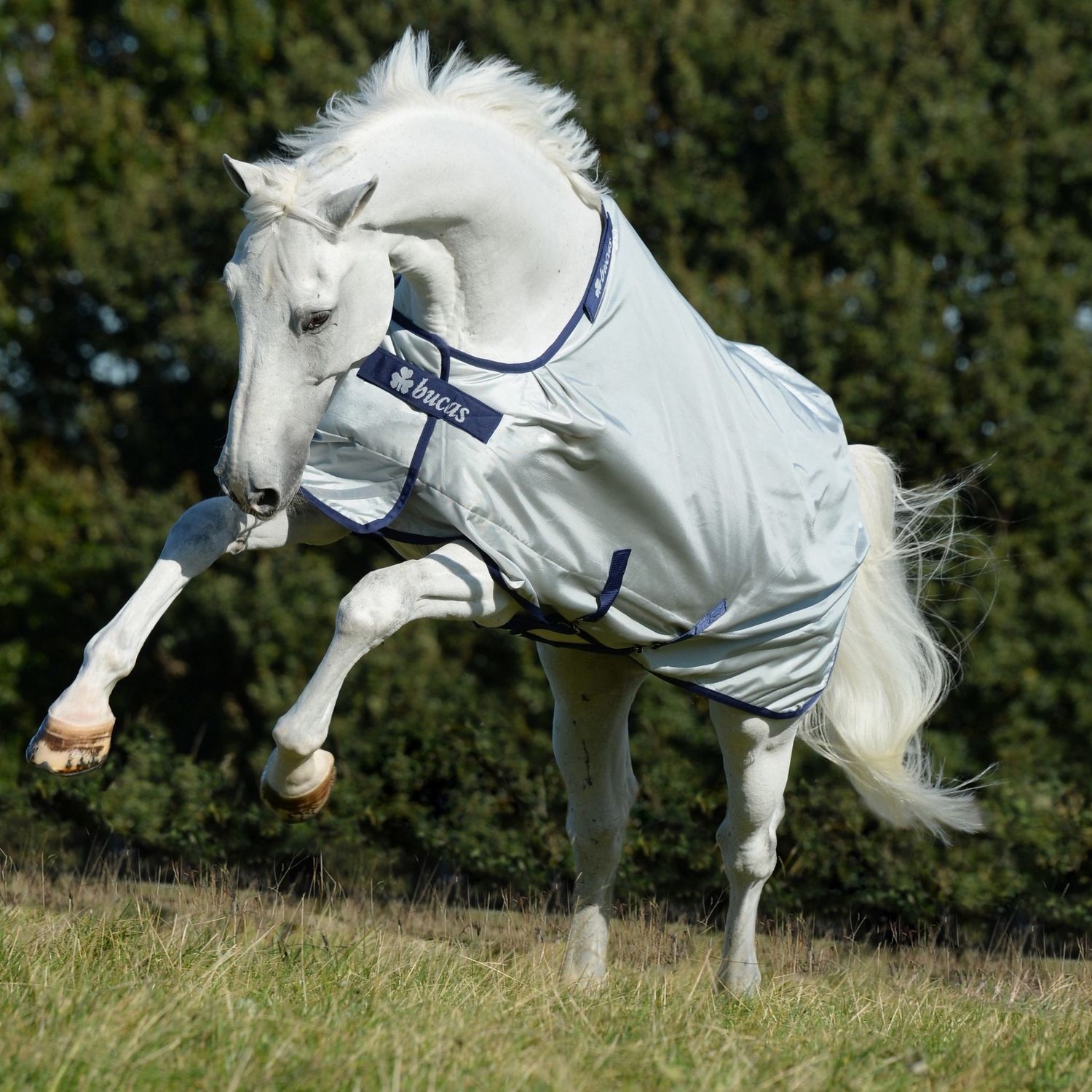 Bucas Power Outdoor Blanket Silver, Size: 170/220/7.2, Detail: Light