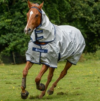 Bucas Sun Shower Rain Outdoor Blanket