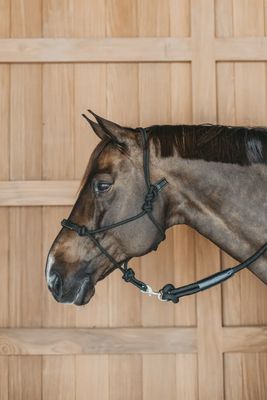 Dy&#39;on Training Halter