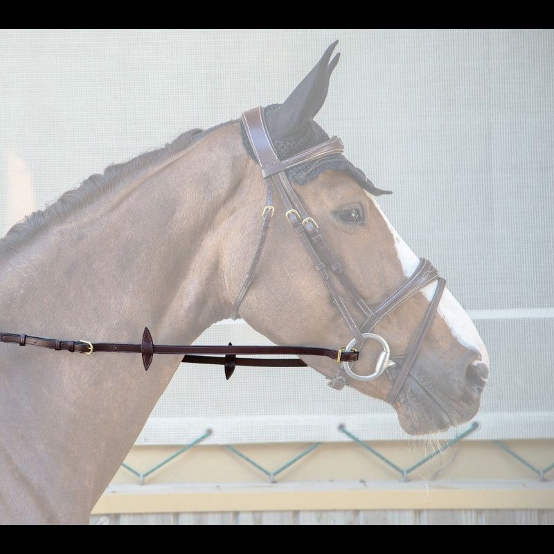 Dy&#39;on Adjustable Reins, Color: Brown, Size: Pony
