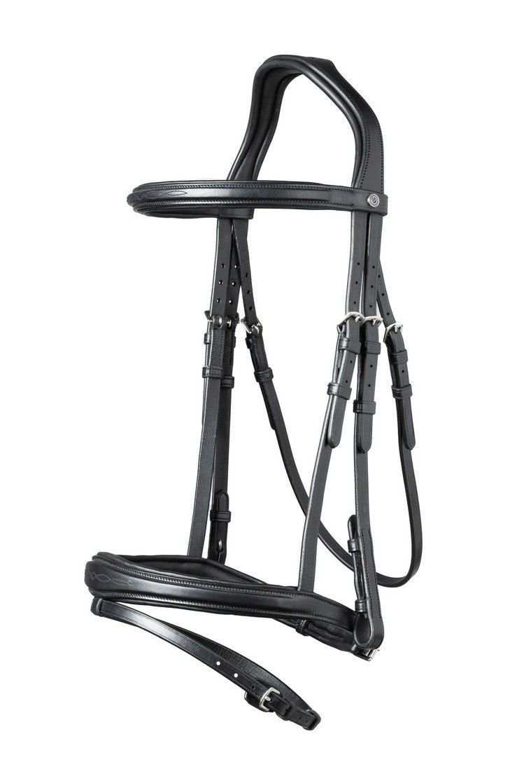 Trust Amsterdam Combined Reithalfter Zaumzeug Anatomisch, Color: Black/Silver, Size: Cob