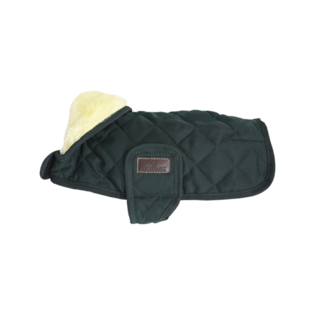 Kentucky Dog Jacket Original