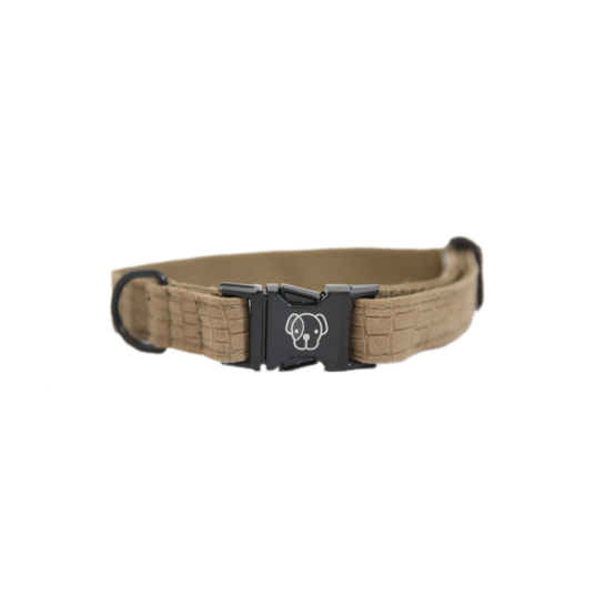 Kentucky Dog Collar Lizard, Color: Beige, Size: XS