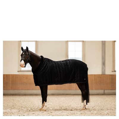 BR CLX Show Rug