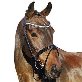 La Rochelle English Comb Noseband bridon, Color: Black, Size: Pony