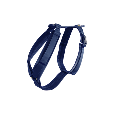 Kentucky Dog Harness Active Velvet